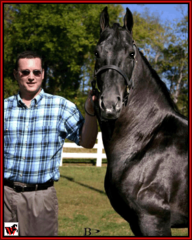 Santana�s El Ni�o, and Precious Memories Farm's Daniel Miller